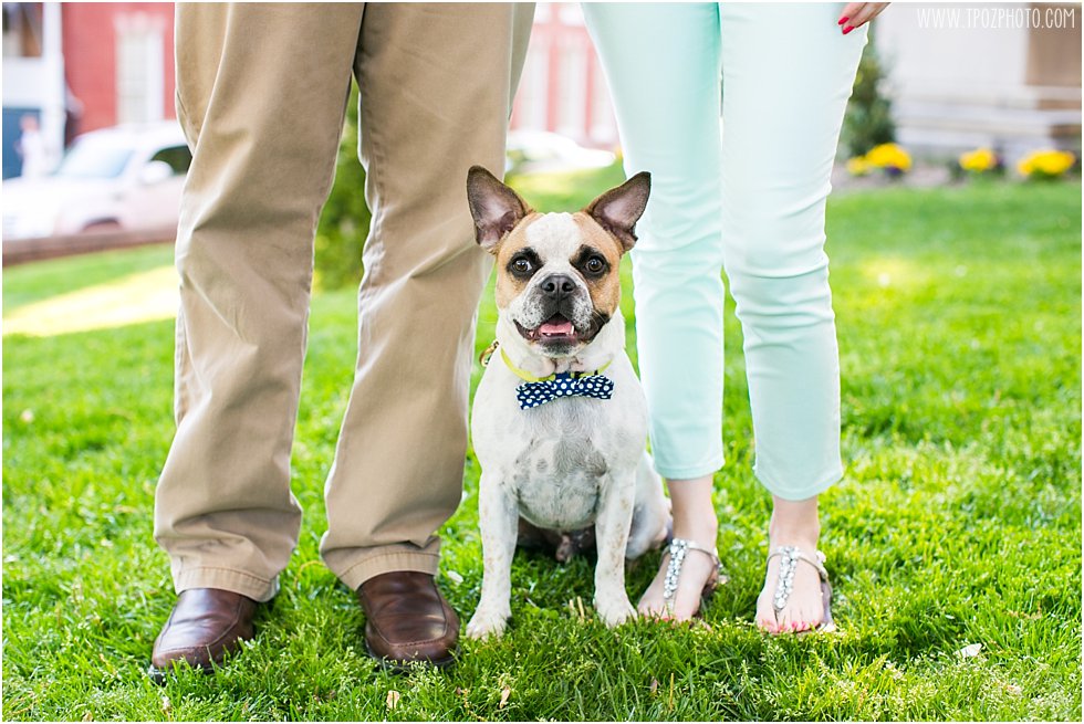 Annapolis Engagement Photos with their French Bulldog