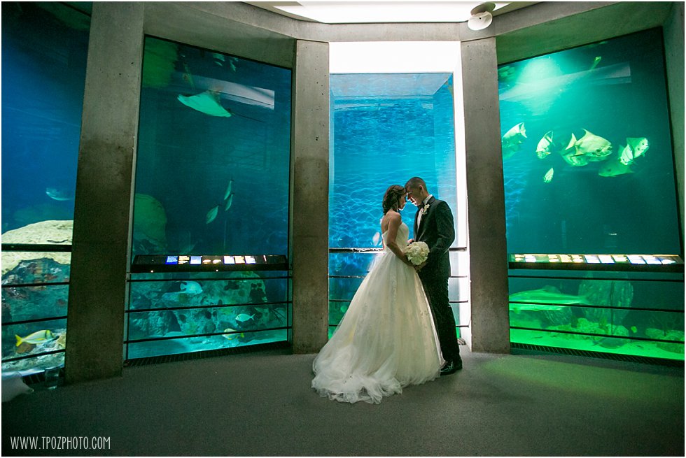 Baltimore Aquarium Wedding Photos